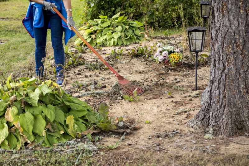 Brush Clearing Service in Salt Lake City, UT