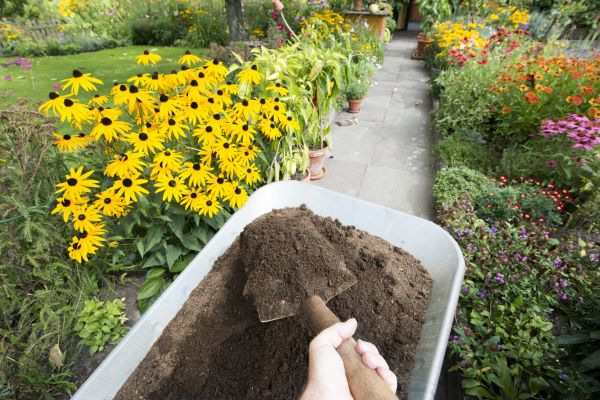 Topsoil Replacement